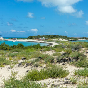 The Blue Lagoon by Camille Massida Photography